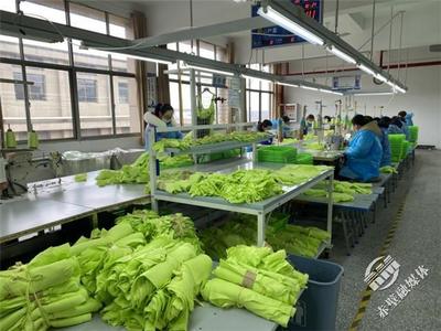 新春新氣象，赤壁服裝企業設計先行，全力沖刺“開門紅”