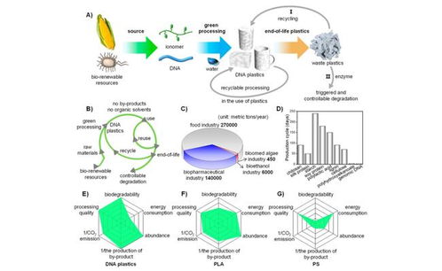 天津大學(xué)研發(fā)可持續(xù)DNA生物塑料 全流程綠色環(huán)保，用水即可回收